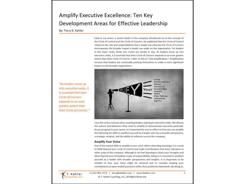 Amplify Executive Excellence Article in PDF