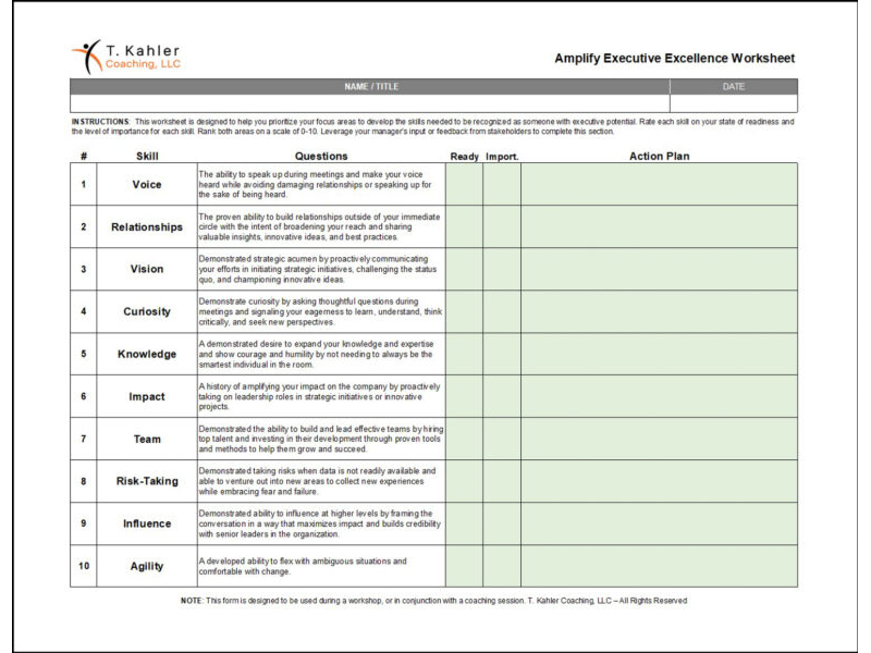 Amplify Executive Excellence Worksheet
